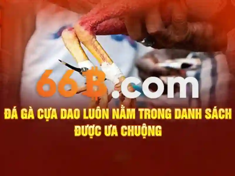 66b là gì?