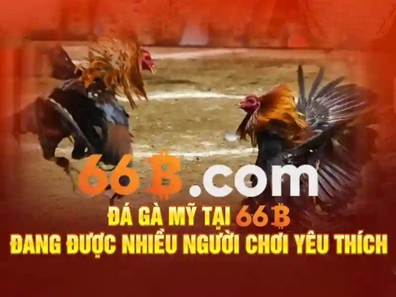 66b và tương lai của mô hình ngôn ngữ