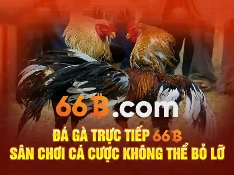Kiến trúc và đặc điểm