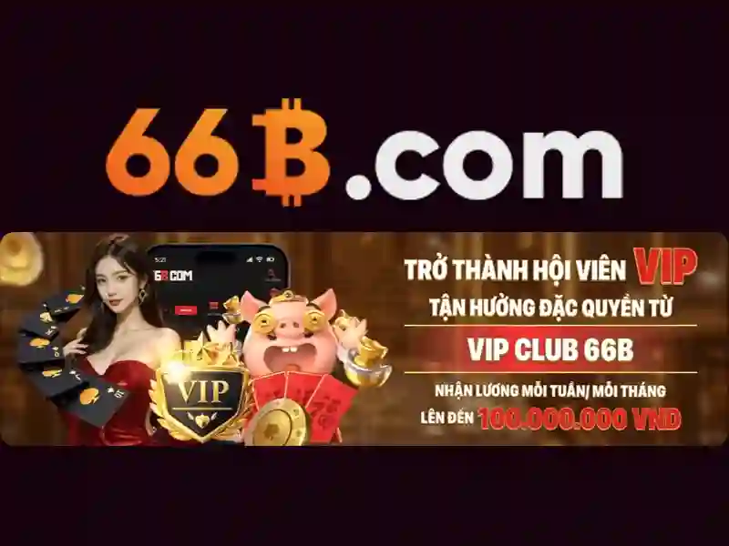 66b là gì