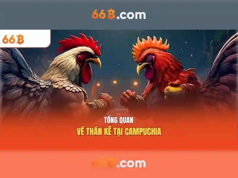 Giao diện nhà cái hoàn hảo
