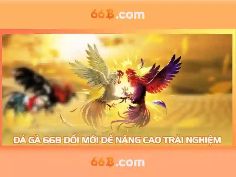 Cách hoạt động của 66B
