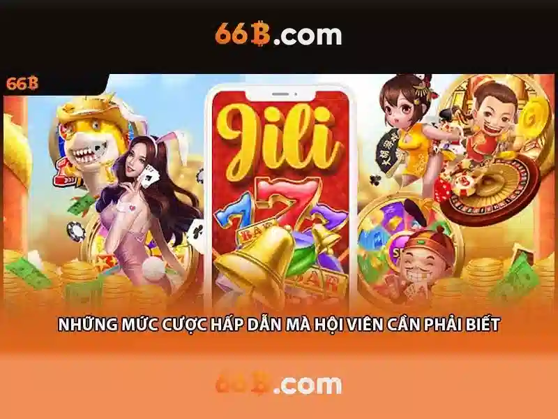 66B là gì?