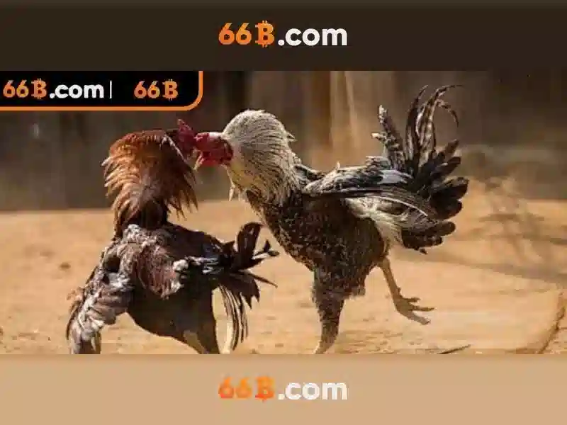 Kiến trúc và quá trình huấn luyện