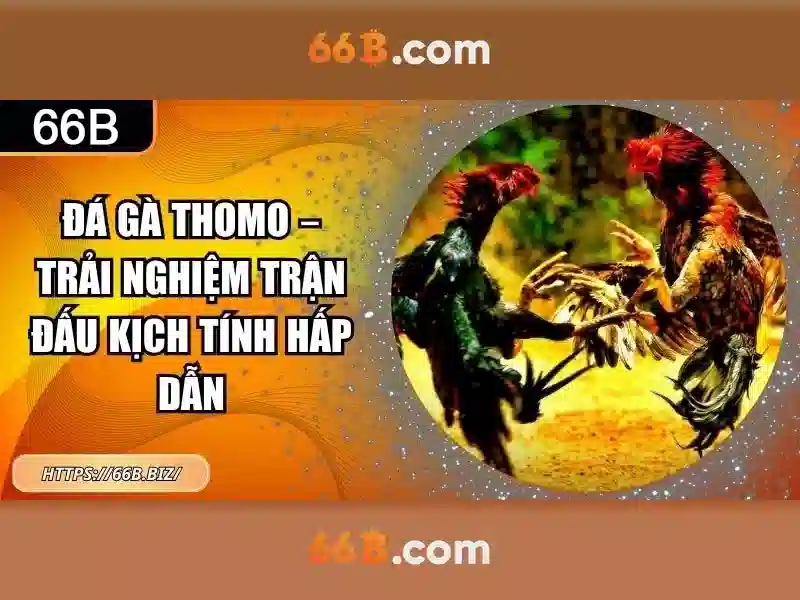 Khám phá 66b: một cái nhìn tổng quan Giao diện nhà cái hoàn hảo