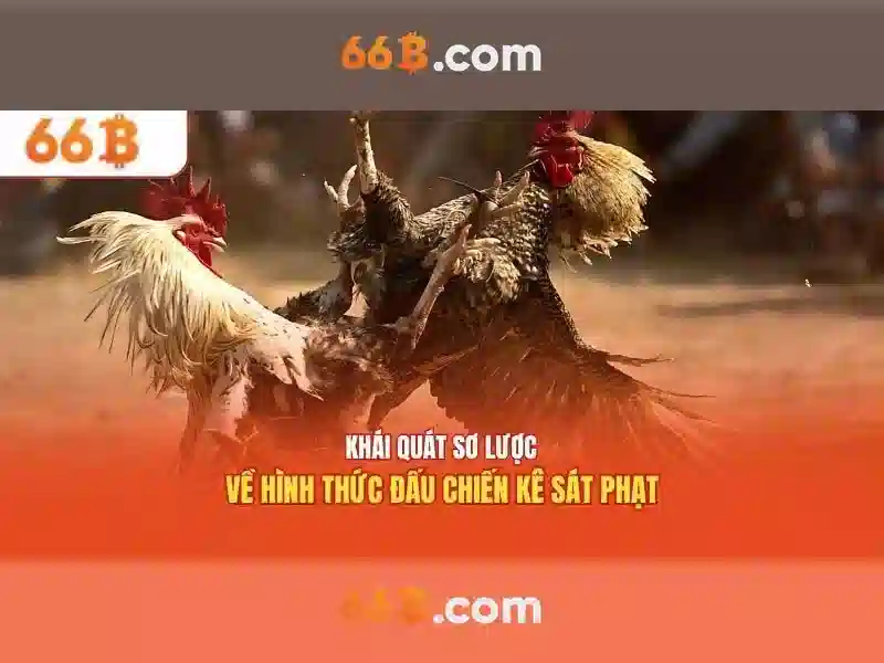 Ứng dụng và tác động của 66b