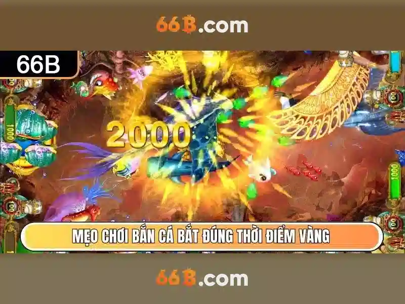 Những thách thức và tương lai của 66b