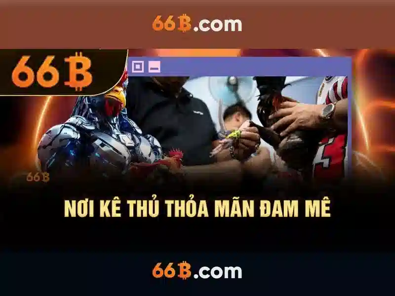 66b: Khám phá khái niệm và ứng dụng Giao diện nhà cái hoàn hảo