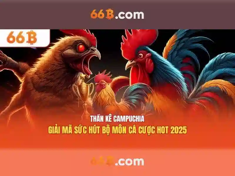 66b: Khám phá con số và ý nghĩa của nó Giao diện nhà cái hoàn hảo