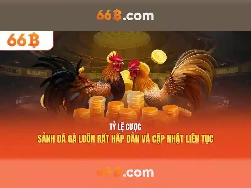 Đặc điểm nổi bật của 66b