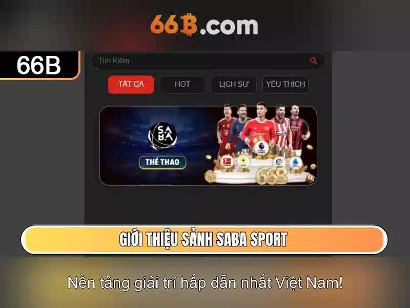 Khái niệm 66b