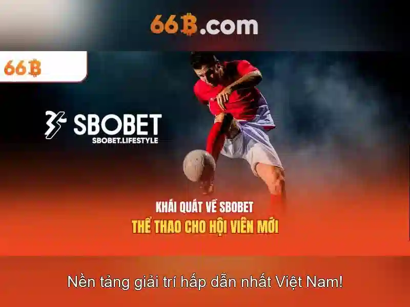 66b là gì?