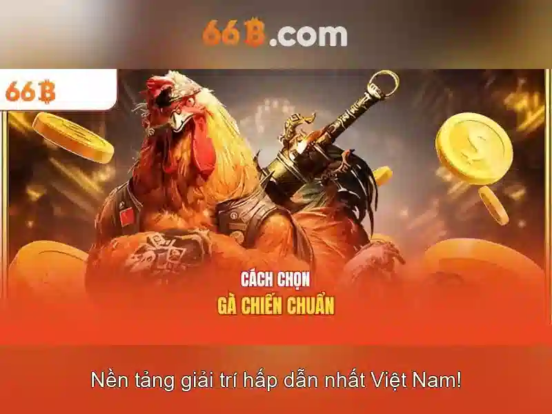 Khái niệm về mô hình 66B