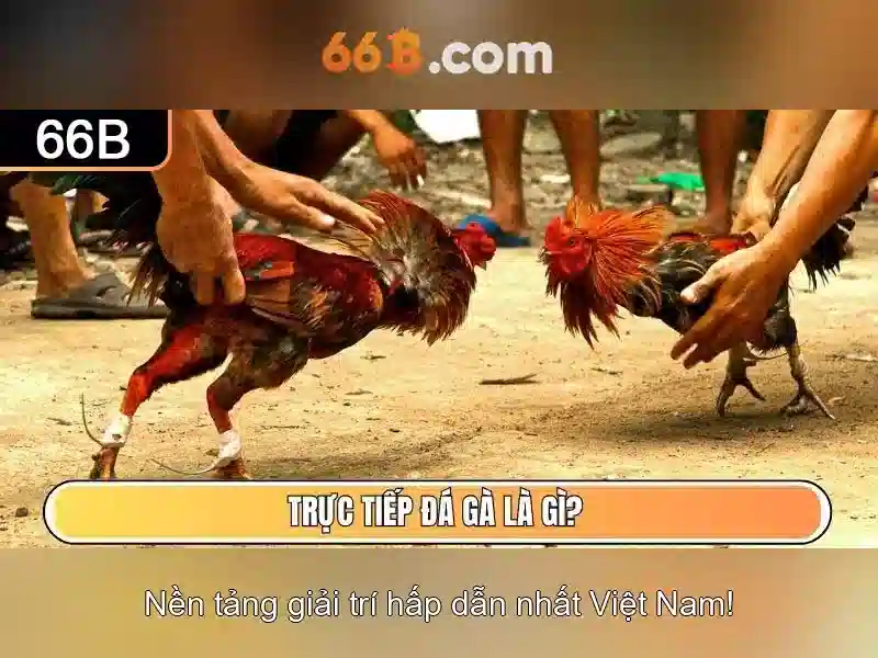 Kich thuoc tham so va cau hinh cua 66B