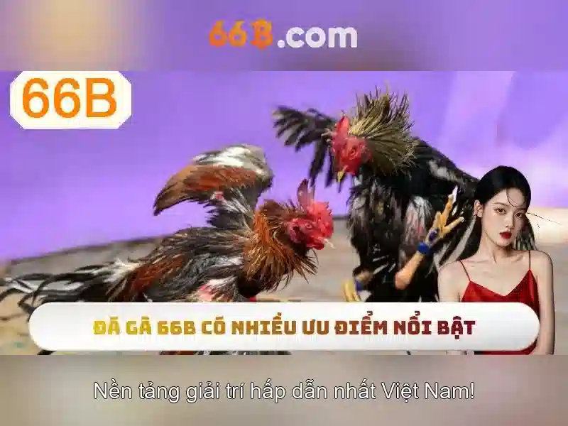 Khía cạnh kỹ thuật