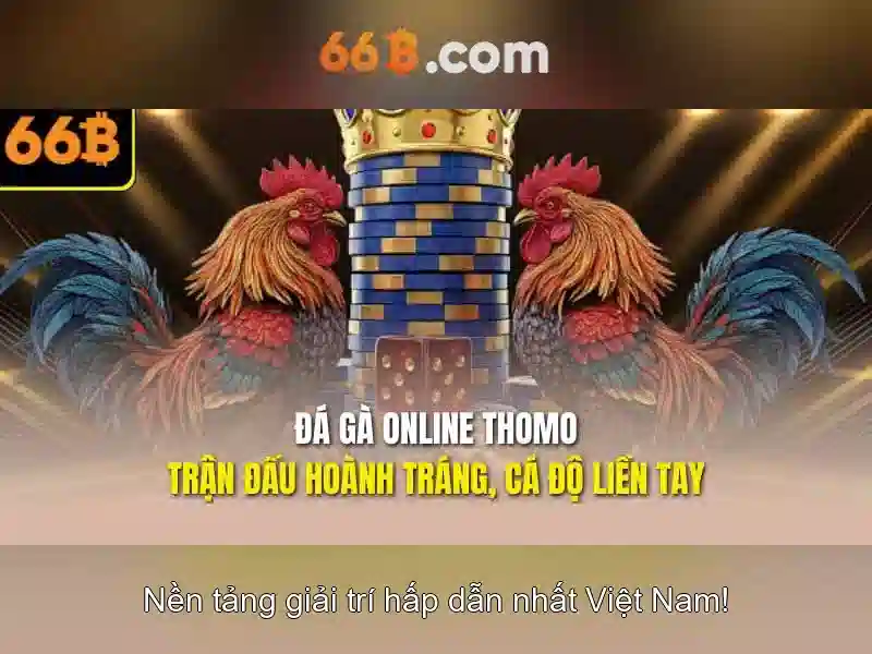 Kinh nghiem AR VR tai 66b 
