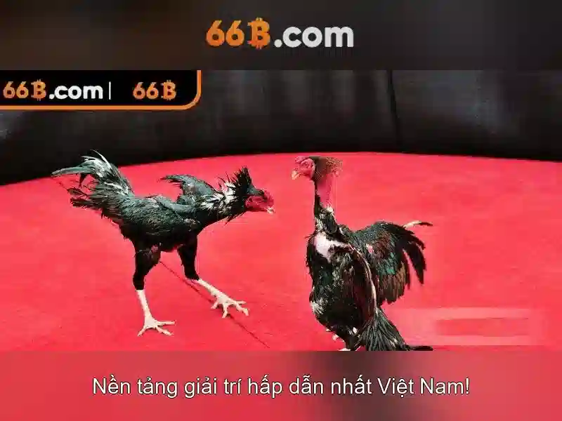 Giao diện nhà cái hoàn hảo