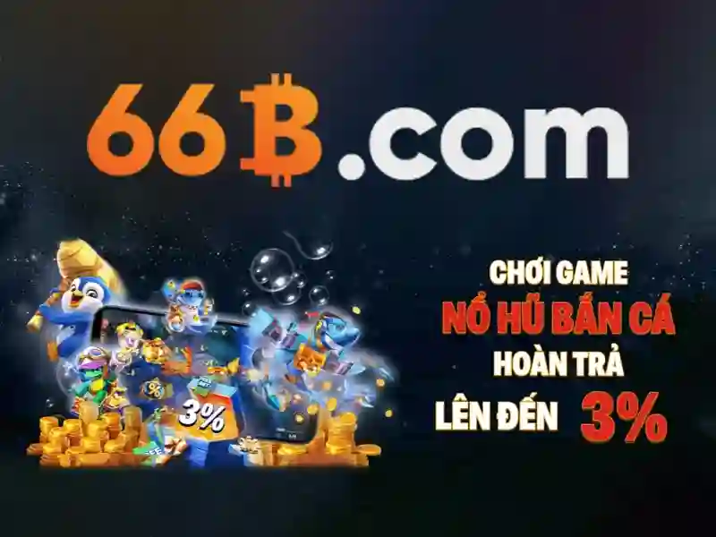 66b là gì?