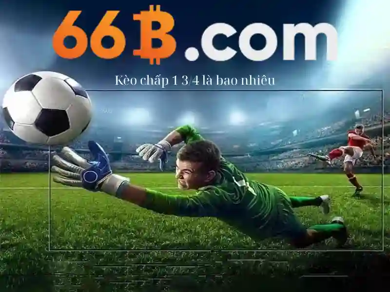66b là gì?