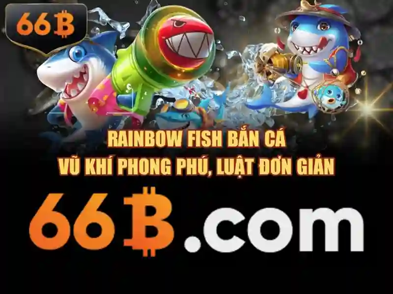 66B là gì?