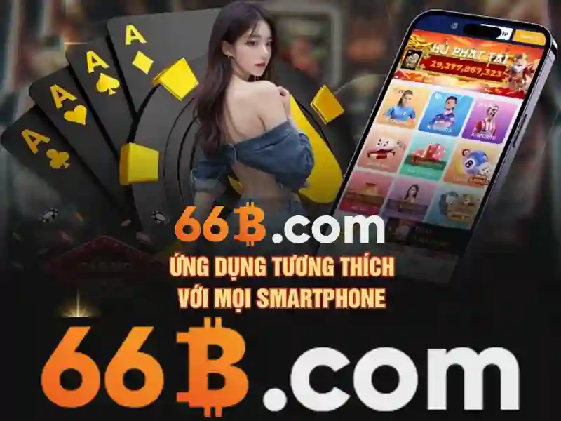 Phân loại kích thước 66B
