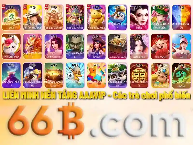 66B: Giới thiệu
